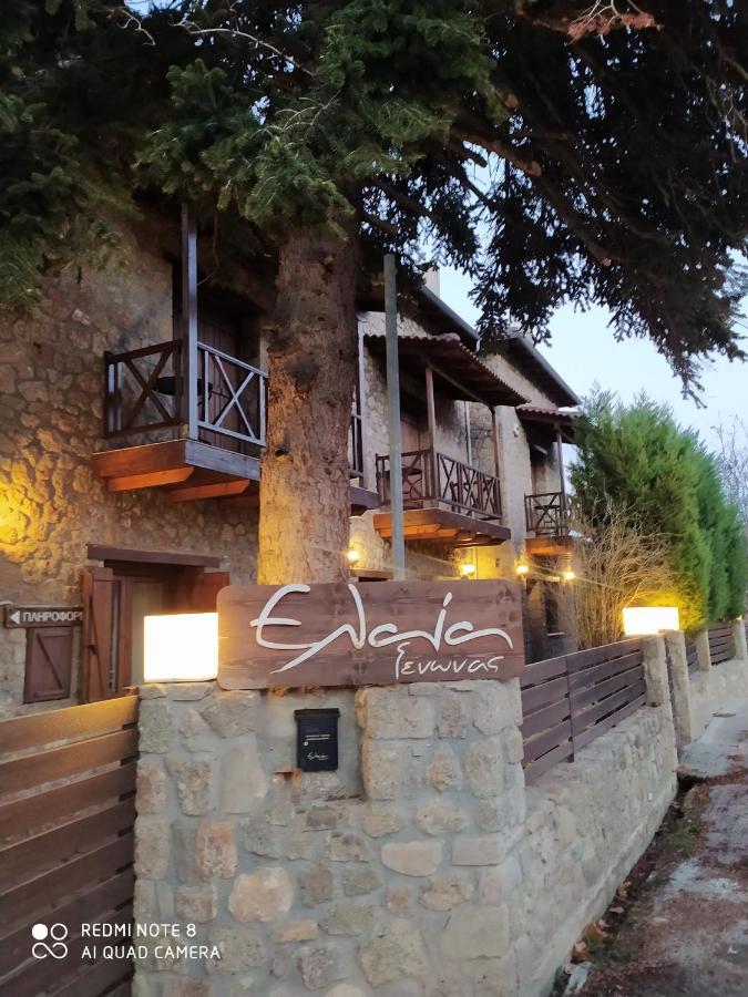 Guesthouse Elaia Synikia Mesi Trikalon Exteriér fotografie