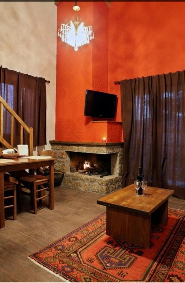 Guesthouse Elaia Synikia Mesi Trikalon Exteriér fotografie