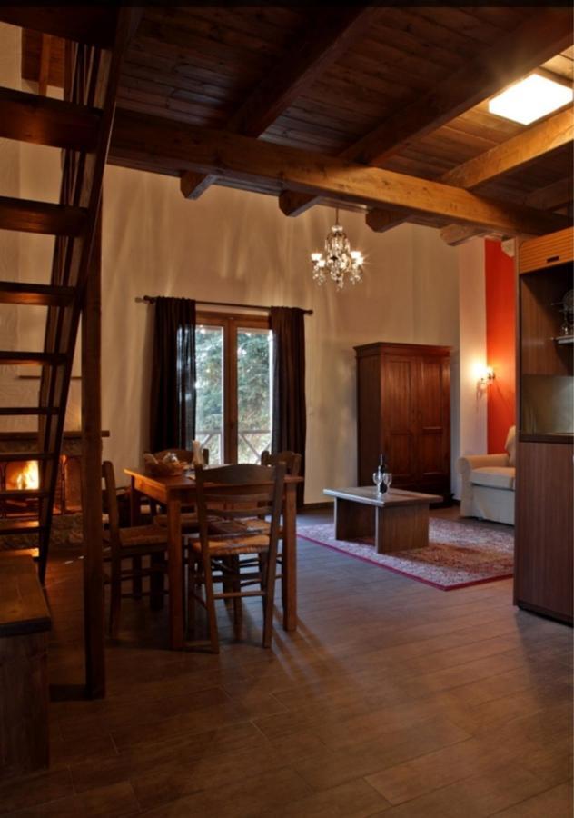 Guesthouse Elaia Synikia Mesi Trikalon Exteriér fotografie