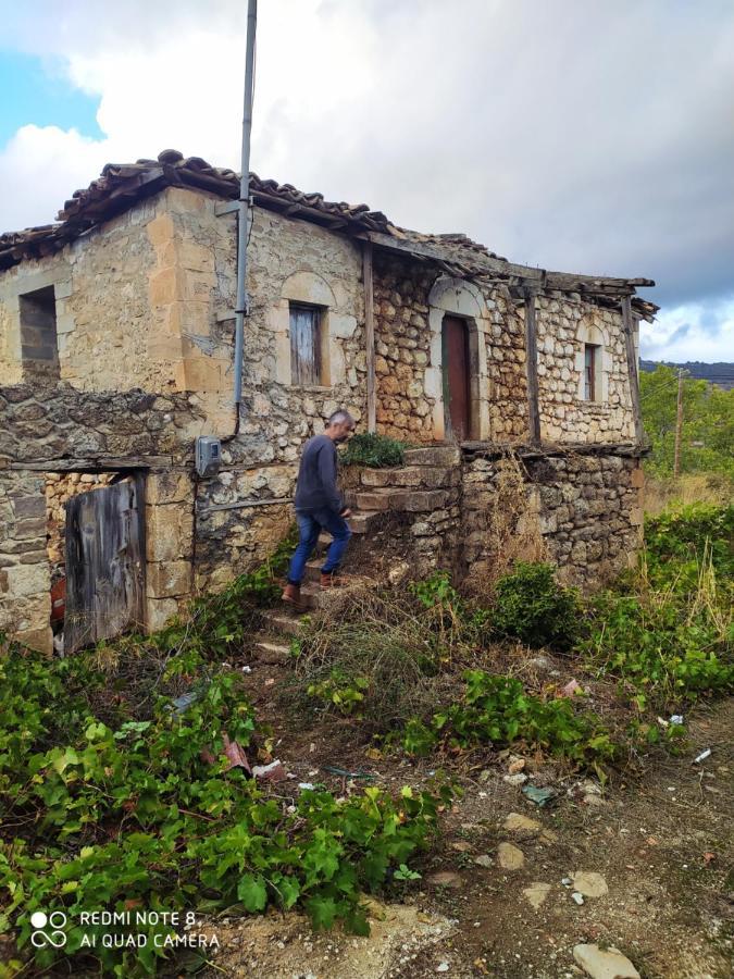 Guesthouse Elaia Synikia Mesi Trikalon Exteriér fotografie