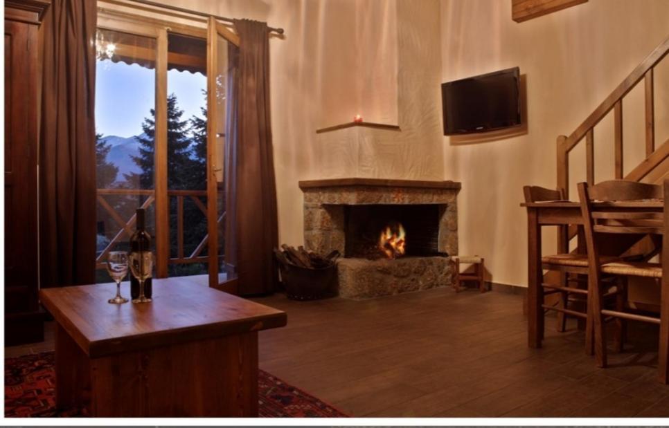 Guesthouse Elaia Synikia Mesi Trikalon Exteriér fotografie