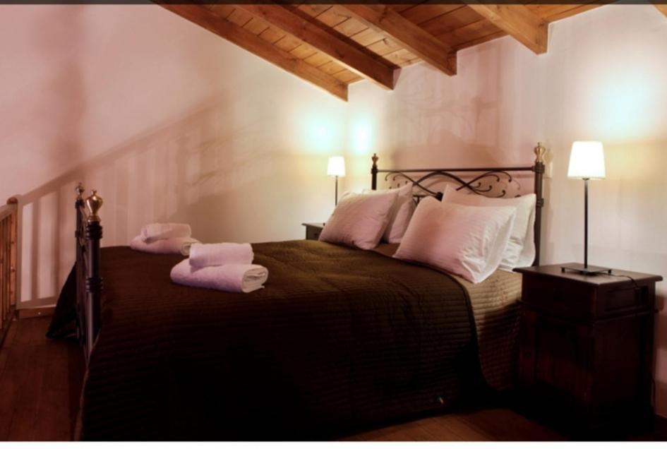 Guesthouse Elaia Synikia Mesi Trikalon Pokoj fotografie
