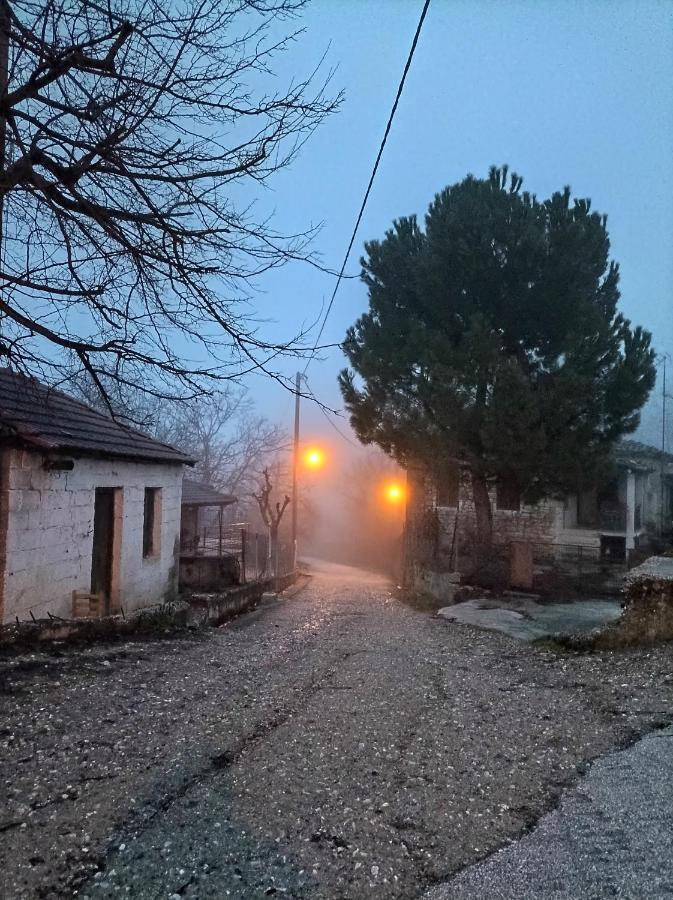Guesthouse Elaia Synikia Mesi Trikalon Exteriér fotografie