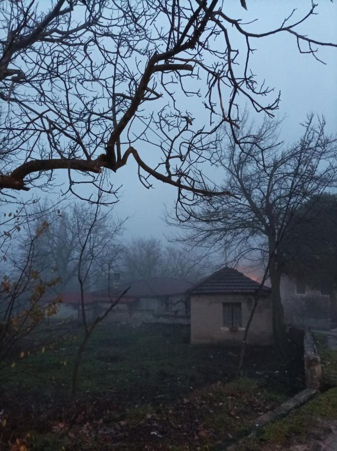 Guesthouse Elaia Synikia Mesi Trikalon Exteriér fotografie