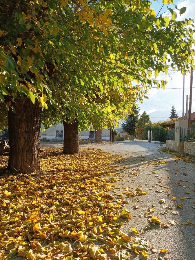 Guesthouse Elaia Synikia Mesi Trikalon Exteriér fotografie