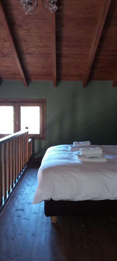 Guesthouse Elaia Synikia Mesi Trikalon Exteriér fotografie