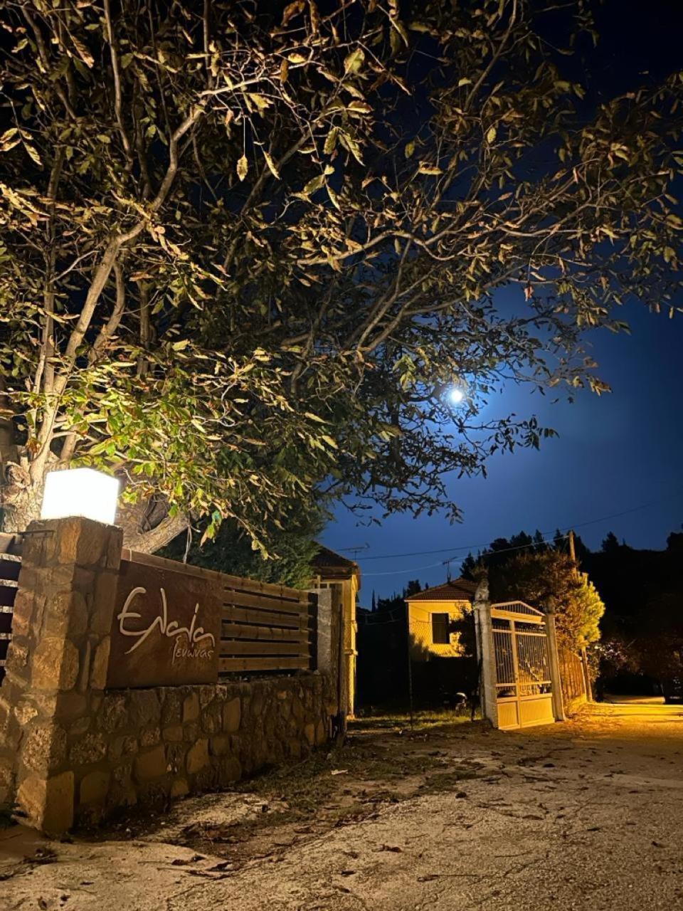 Guesthouse Elaia Synikia Mesi Trikalon Exteriér fotografie