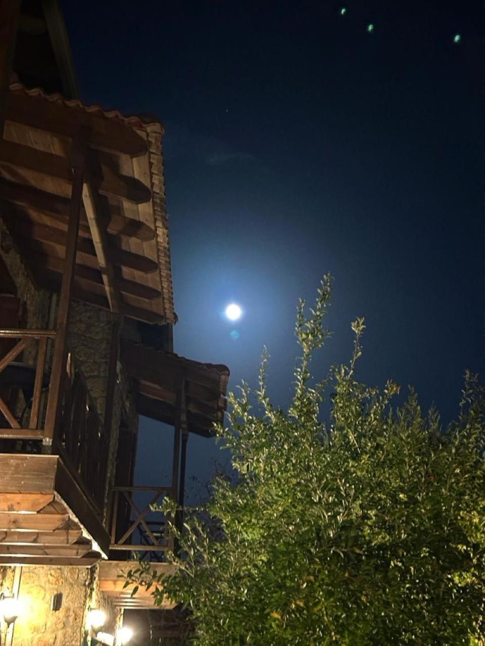 Guesthouse Elaia Synikia Mesi Trikalon Exteriér fotografie