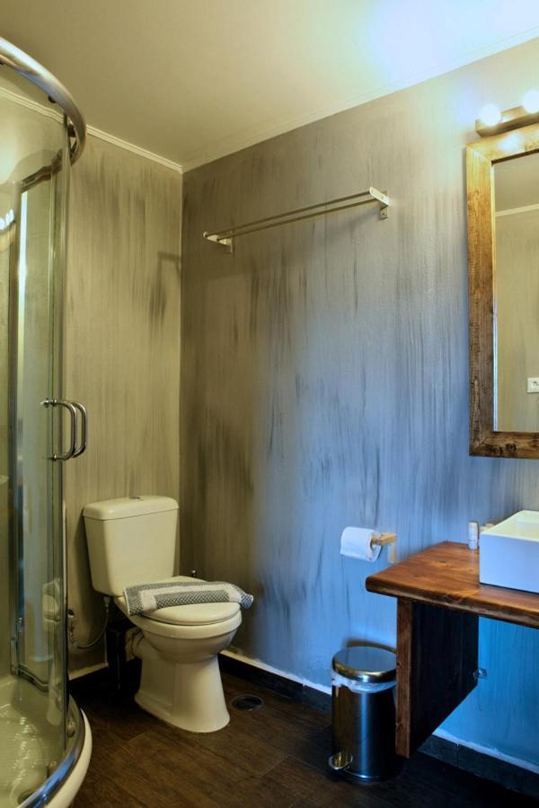 Guesthouse Elaia Synikia Mesi Trikalon Exteriér fotografie